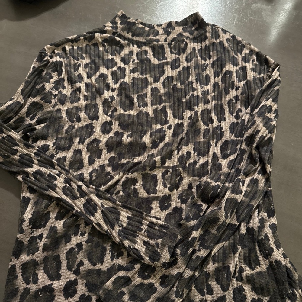Zara Leopard Long Sleeve